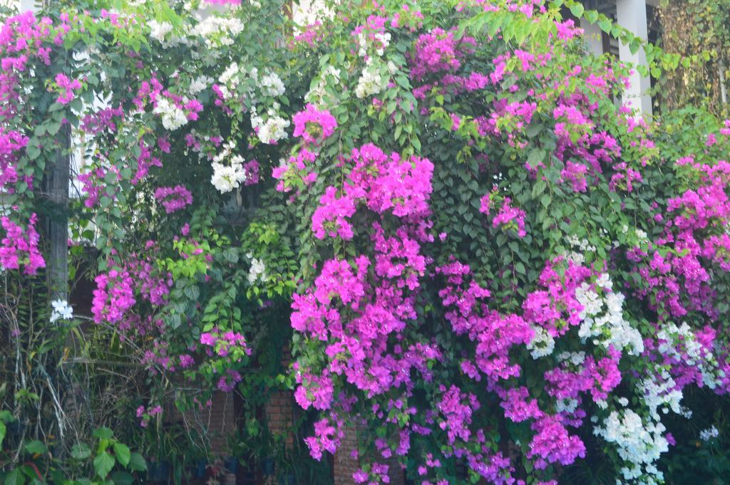 The Hoi An Orchid Garden Villas Екстер'єр фото