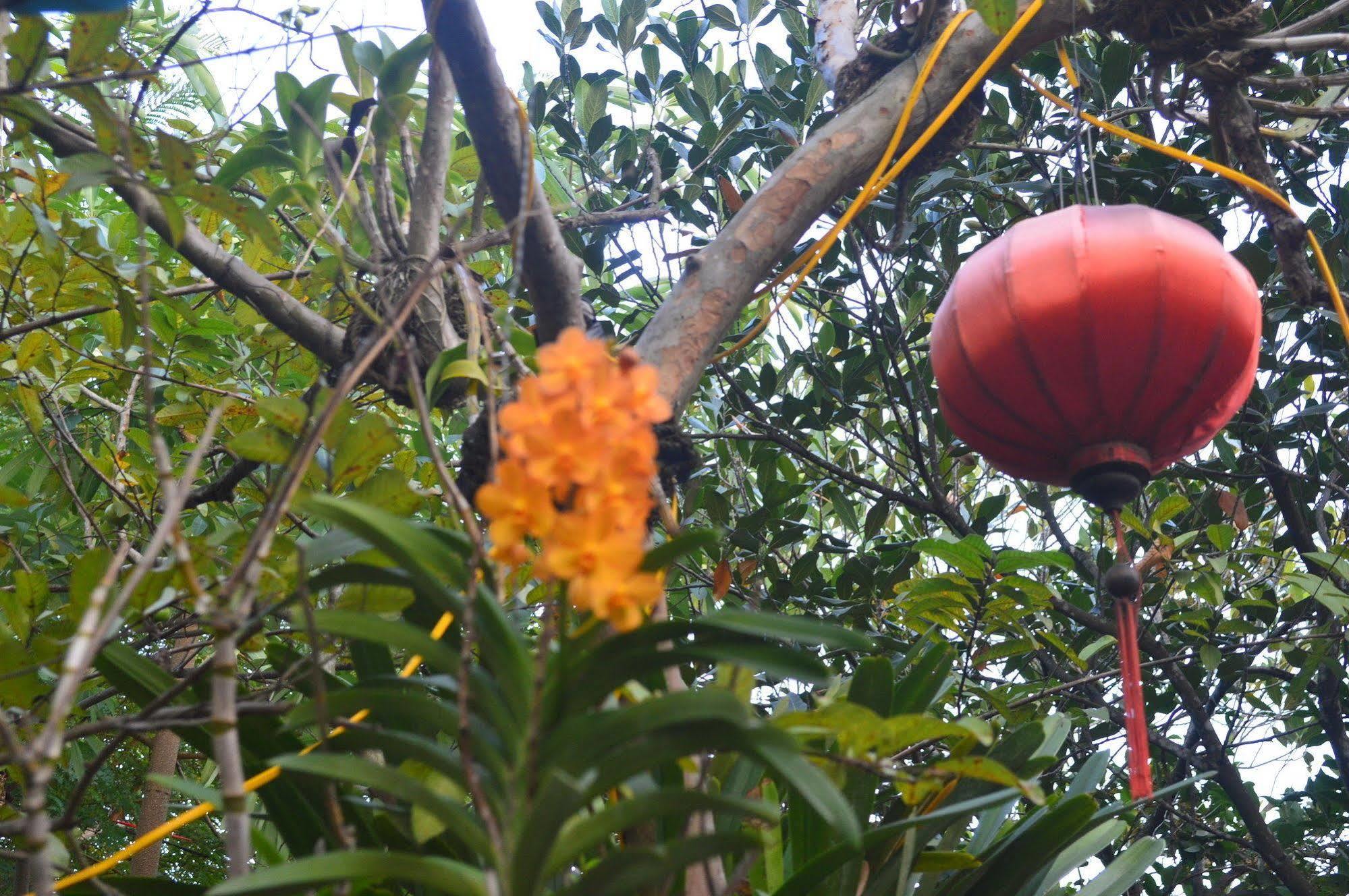 The Hoi An Orchid Garden Villas Екстер'єр фото